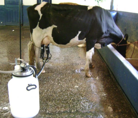 Milk Quality Harvesting